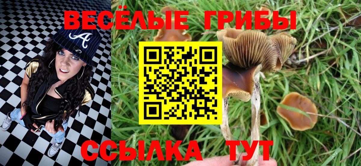 Галлюциногенные грибы мицелий Валуйки